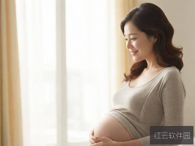 孕期完全指导，一部温馨感人的孕期指南电影免费观看指南