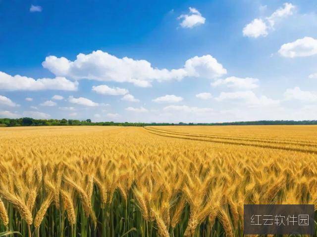 单位一二三产区差异解析，9大特质区分‘成品人’与‘精品人’
