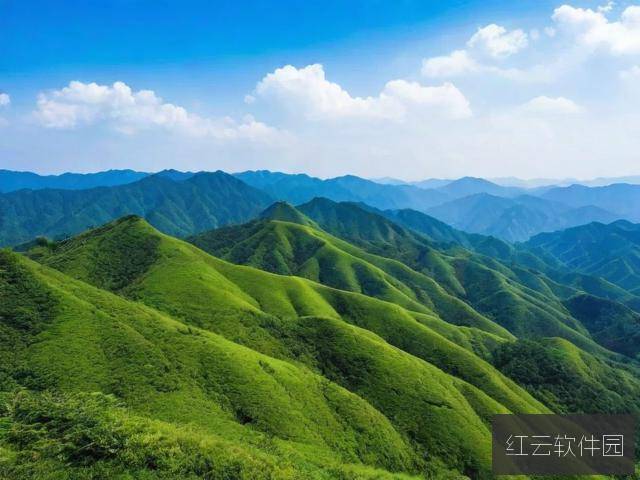 盲山资源与1080P，探寻中国独立电影的生存困境与技术革新