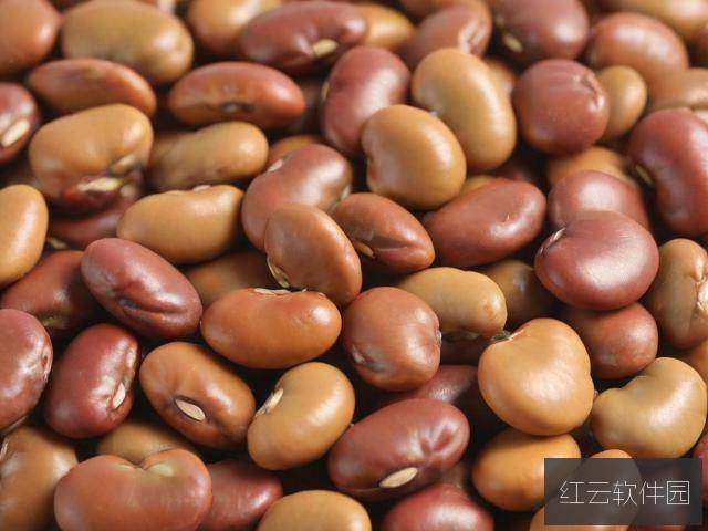 麻豆精产国品一二三产区别解析，从产业到电影的跨界融合