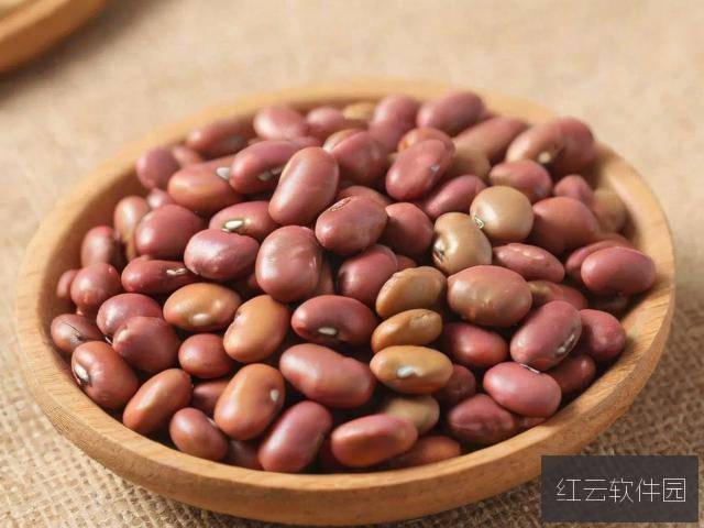 麻豆产精品，探秘一二三产区的独特魅力与卓越品质