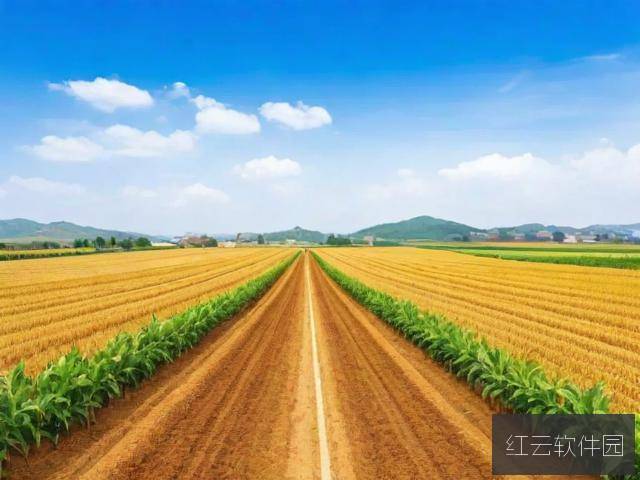 麻豆精品崛起，一区与三大产区协同发展的媒体赋能之路